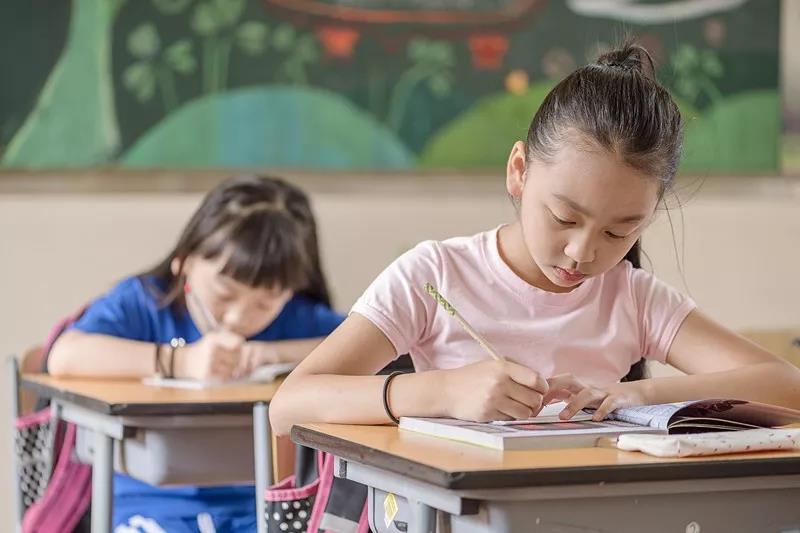 新来港孩子如何升读香港中学