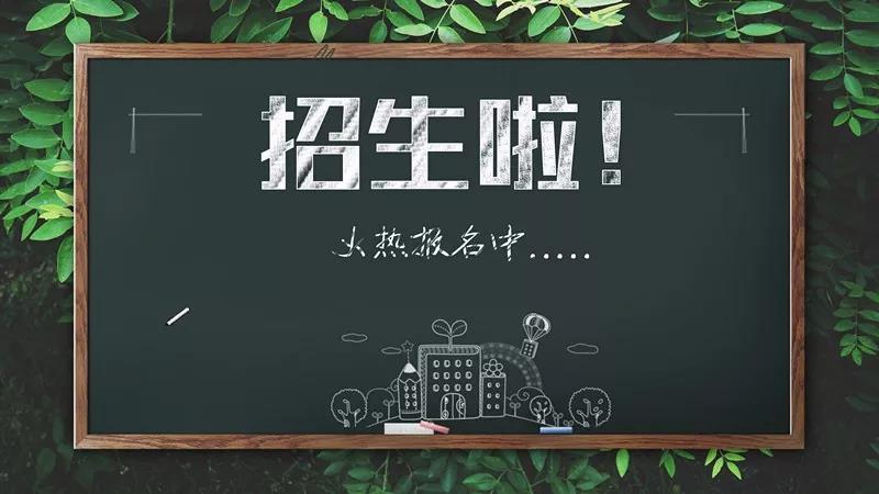 香港大学内地招生方案出炉