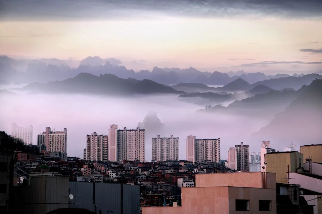 香港身份办理，香港优才和香港专才各有什么利弊？