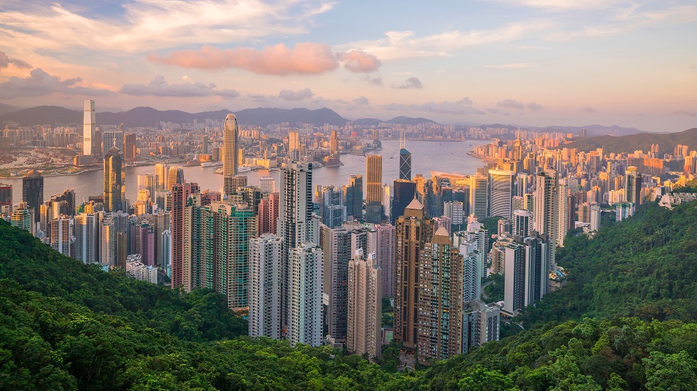 香港优才计划获批增长率远高于申请增长率！未来通过率更高，别犹豫了