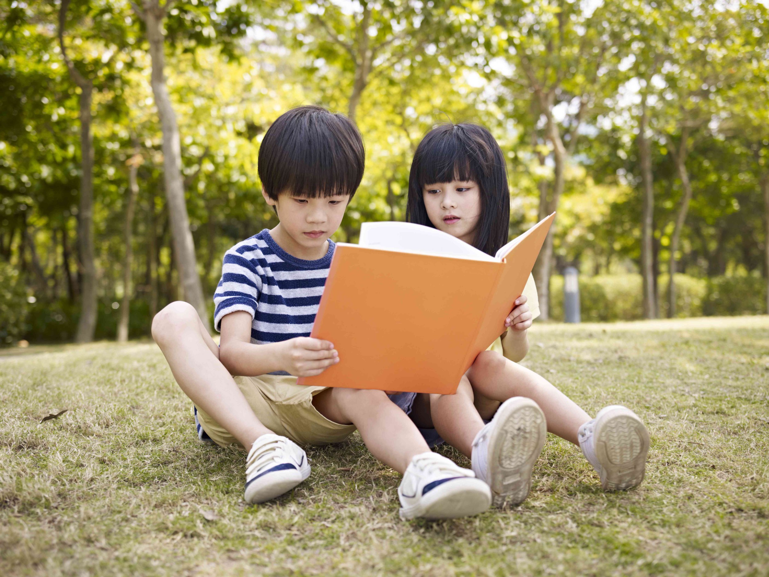 摄图网_502664195_坐在草地上看书的亚洲小男孩女在公（企业商用）(1).jpg