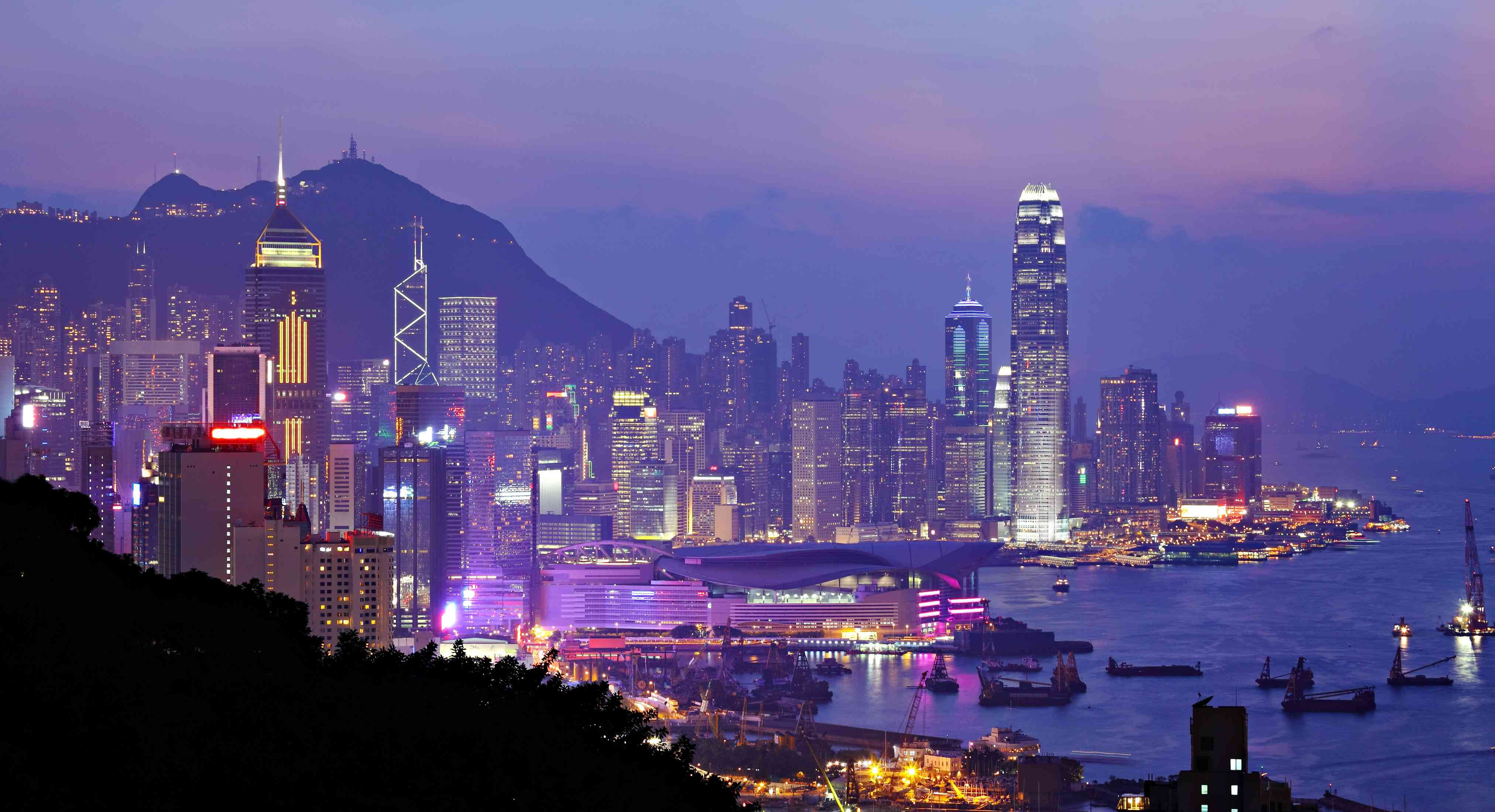 香港优才计划和高才通续签的最大区别是什么？6个角度对比，附2种自雇续签方法