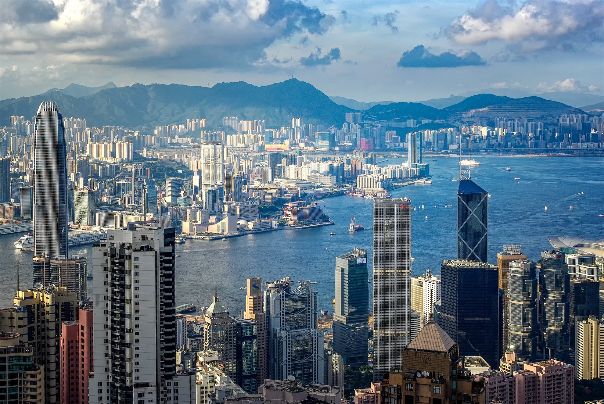 2025年香港优才计划新规更新，一文读懂11月最新政策+申请资格+办理流程+7年续签转永居！